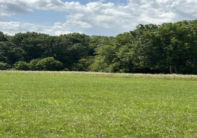 Photo 1 of Sale Pending at Lucy Ln Lot 3, Cynthiana, KY 41031 | MLS# 26019113 | Listing updated on 2026-07-23