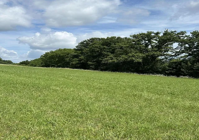 Photo 3 of Sale Pending at Lucy Ln Lot 3, Cynthiana, KY 41031 | MLS# 26019113 | Listing updated on 2026-07-23