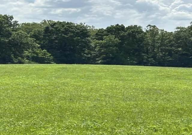 Photo 3 of Sale Pending at Lucy Ln Lot 3, Cynthiana, KY 41031 | MLS# 26019113 | Listing updated on 2026-07-23