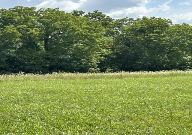 Photo 4 of Sale Pending at Lucy Ln Lot 3, Cynthiana, KY 41031 | MLS# 26019113 | Listing updated on 2026-07-23