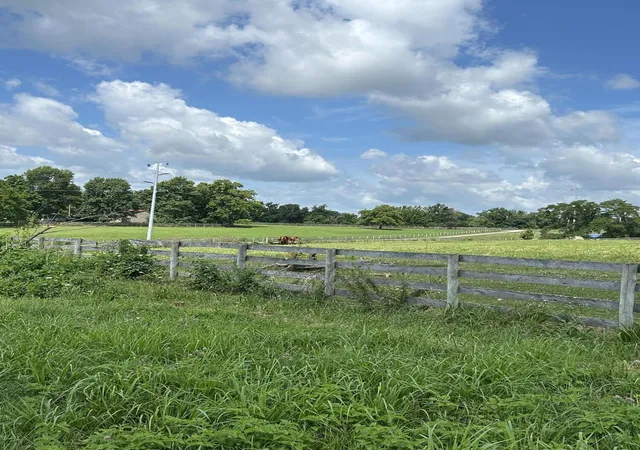 Photo 2 of Land for sale at Lot #8 Hendricks Ln, Cynthiana, KY 41031 | MLS# 26019122 | Listing updated on 2026-09-01