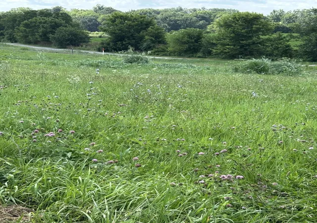 Photo 3 of Land for sale at Lot #8 Hendricks Ln, Cynthiana, KY 41031 | MLS# 26019122 | Listing updated on 2026-09-01
