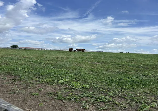 Photo 3 of Land for sale at Lot #8 Hendricks Ln, Cynthiana, KY 41031 | MLS# 26019122 | Listing updated on 2026-09-01