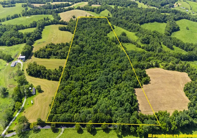 Photo 1 of Land for sale at 223 Plum Lick Rd, Paris, KY 40361 | MLS# 26019172 | Listing updated on 2026-07-21