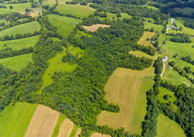 Photo 4 of Land for sale at 223 Plum Lick Rd, Paris, KY 40361 | MLS# 26019172 | Listing updated on 2026-10-13