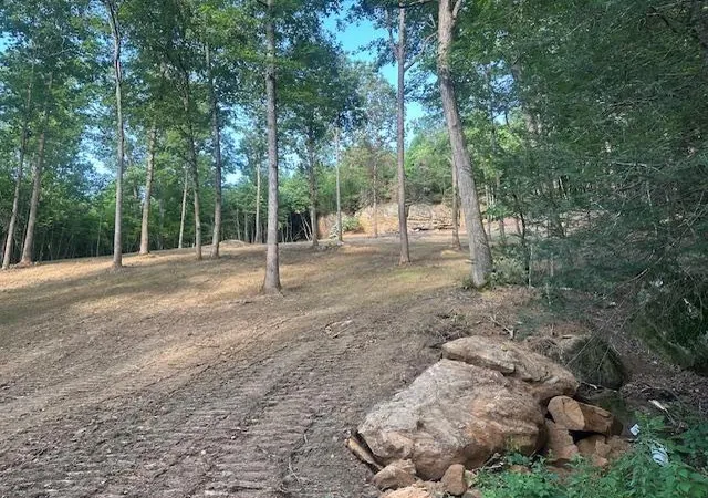 Land for sale at 9999 Rocky Branch Rd, East Bernstadt, KY 40729 | MLS# 26019168