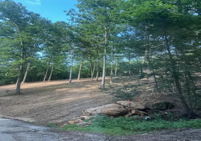 Photo 3 of Land for sale at 9999 Rocky Branch Rd, East Bernstadt, KY 40729 | MLS# 26019168 | Listing updated on 2026-10-02