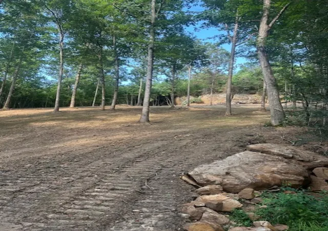 Photo 3 of Land for sale at 9999 Rocky Branch Rd, East Bernstadt, KY 40729 | MLS# 26019168 | Listing updated on 2026-10-02