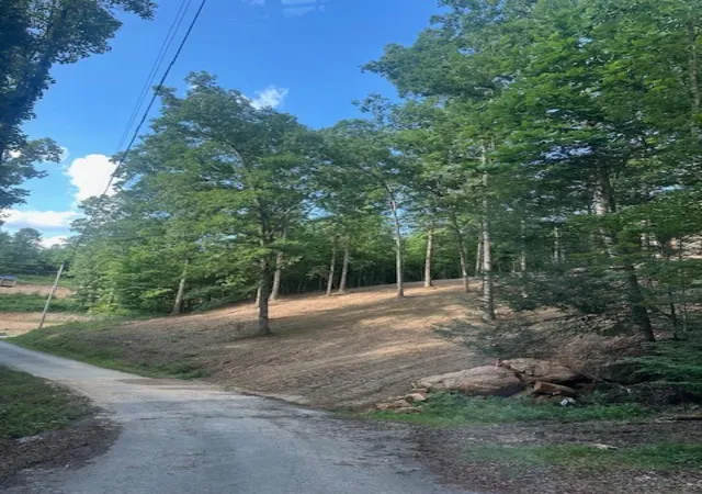 Photo 4 of Land for sale at 9999 Rocky Branch Rd, East Bernstadt, KY 40729 | MLS# 26019168 | Listing updated on 2026-10-02