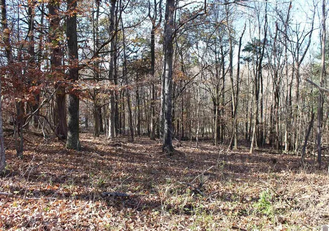 Photo 1 of Land for sale at Lot 50 Backstrom Hts Rd #63D-50, Eddyville, KY 42038 | MLS# 26019190 | Listing updated on 2026-08-05