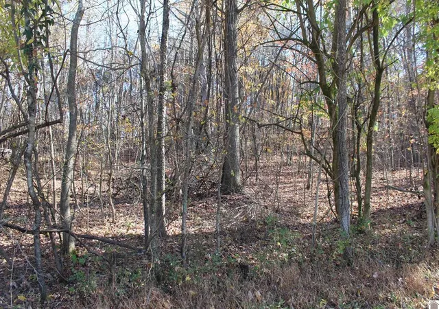 Photo 4 of Land for sale at Lot 50 Backstrom Hts Rd #63D-50, Eddyville, KY 42038 | MLS# 26019190 | Listing updated on 2026-08-05