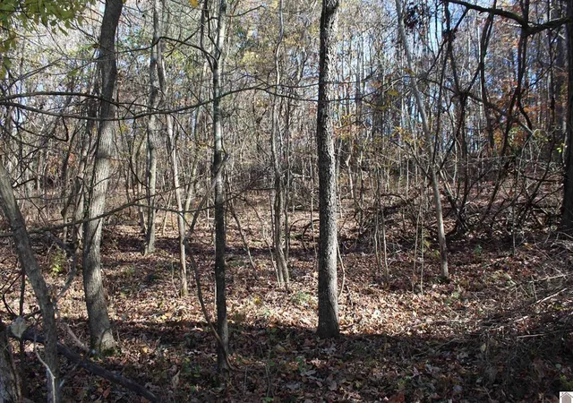 Photo 4 of Land for sale at Lot 51 Backstrom Hts Rd #63D-51, Eddyville, KY 42038 | MLS# 26019191 | Listing updated on 2026-07-20