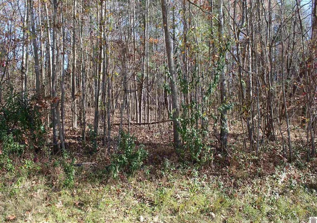 Photo 8 of Land for sale at Lot 51 Backstrom Hts Rd #63D-51, Eddyville, KY 42038 | MLS# 26019191 | Listing updated on 2026-07-20