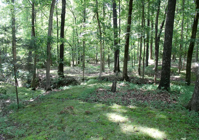 Photo 2 of Single family home for sale at 254 Kirk Ridge Rd, Murray, KY 42071 | MLS# 26019325 | Listing updated on 2026-07-21