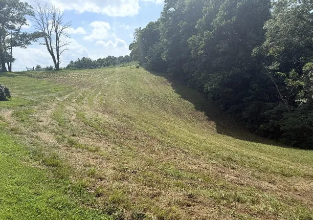 Photo 3 of Single family home for sale at 566 Ebon Rd, Wellington, KY 40387 | MLS# 26022835 | Listing updated on 2026-08-21