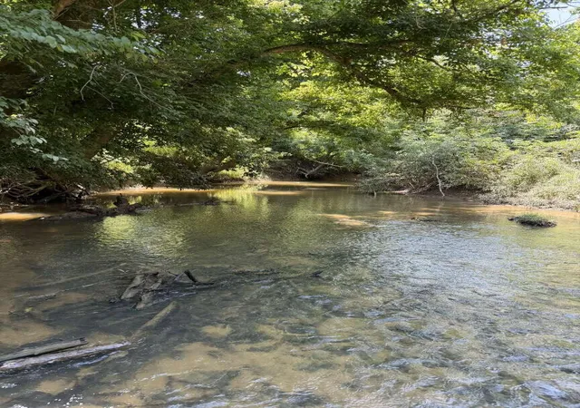 Photo 2 of Land for sale at 20533 Princeton Olney Rd, Princeton, KY 42445 | MLS# 26019282 | Listing updated on 2026-08-13