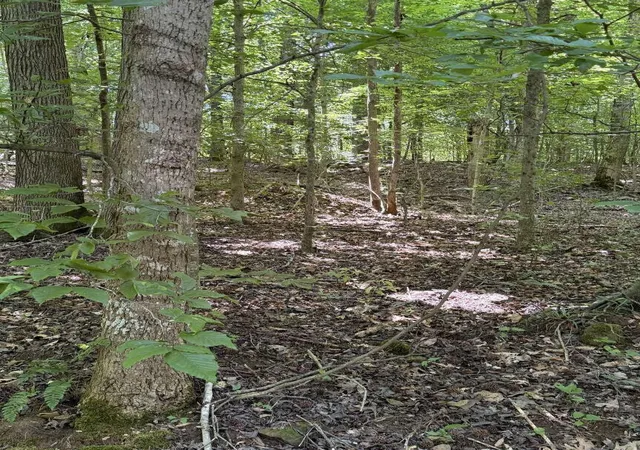 Photo 3 of Land for sale at 20533 Princeton Olney Rd, Princeton, KY 42445 | MLS# 26019282 | Listing updated on 2026-08-13