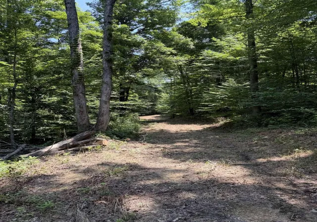 Photo 4 of Land for sale at 20533 Princeton Olney Rd, Princeton, KY 42445 | MLS# 26019282 | Listing updated on 2026-08-13