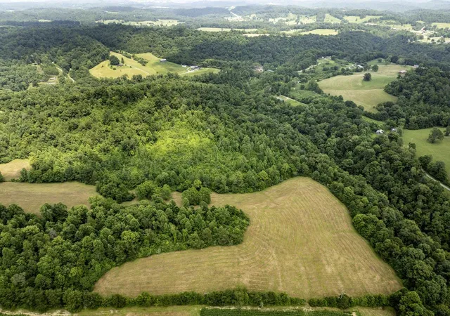 Photo 1 of Land for sale at 1990 State Hwy 556, Sandy Hook, KY 41171 | MLS# 26019295 | Listing updated on 2026-07-24