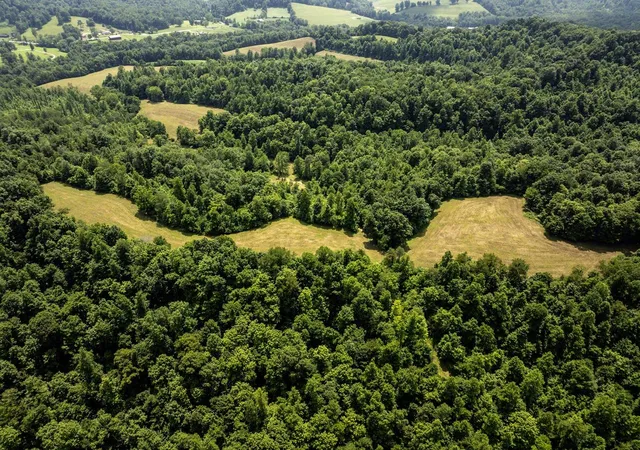 Photo 2 of Land for sale at 1990 State Hwy 556, Sandy Hook, KY 41171 | MLS# 26019295 | Listing updated on 2026-07-24