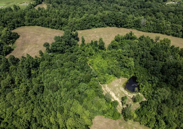Photo 3 of Land for sale at 1990 State Hwy 556, Sandy Hook, KY 41171 | MLS# 26019295 | Listing updated on 2026-07-24