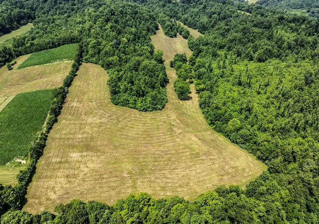 Photo 3 of Land for sale at 1990 State Hwy 556, Sandy Hook, KY 41171 | MLS# 26019295 | Listing updated on 2026-07-24