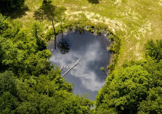 Photo 4 of Land for sale at 1990 State Hwy 556, Sandy Hook, KY 41171 | MLS# 26019295 | Listing updated on 2026-07-24