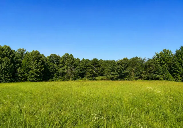 Photo 2 of Land for sale at 354 Josh Hl Rd, Pine Knot, KY 42635 | MLS# 26019326 | Listing updated on 2026-07-21