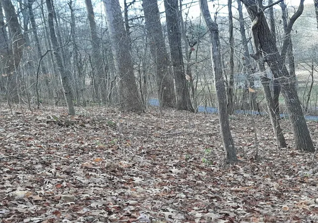 Photo 2 of Land for sale at Lot 8 Harbor Dr #Lot 8, Eddyville, KY 42038 | MLS# 26021052 | Listing updated on 2026-10-01