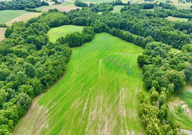 Land for sale at 0000 Gillahan Rd #50, Ledbetter, KY 42058 | MLS# 26019431