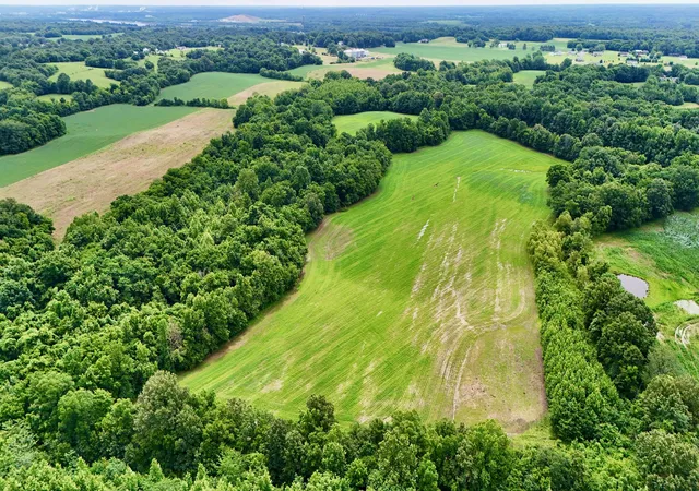 Photo 2 of Land for sale at 0000 Gillahan Rd #50, Ledbetter, KY 42058 | MLS# 26019431 | Listing updated on 2026-09-22