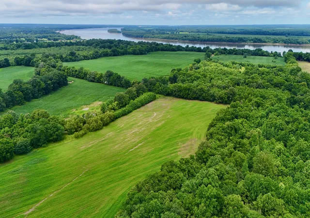 Photo 3 of Land for sale at 0000 Gillahan Rd #50, Ledbetter, KY 42058 | MLS# 26019431 | Listing updated on 2026-09-22