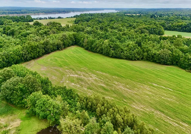 Photo 3 of House for sale at 0000 Gillahan Rd #50, Ledbetter, KY 42058 | MLS# 26019431 | Listing updated on 2026-09-22