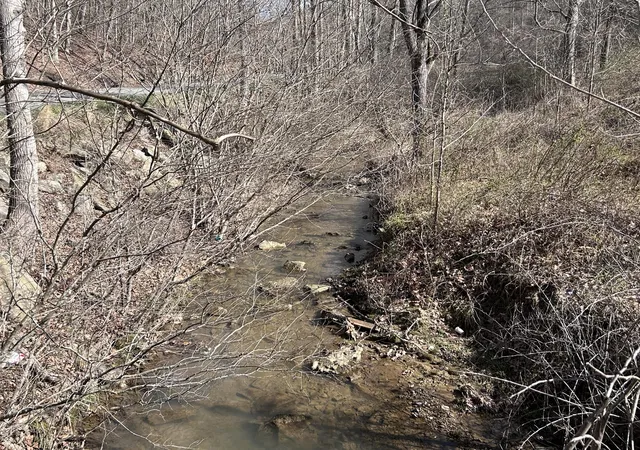 Photo 3 of Land for sale at 10389 Kentucky 1304, Barbourville, KY 40906 | MLS# 26019355 | Listing updated on 2026-08-04