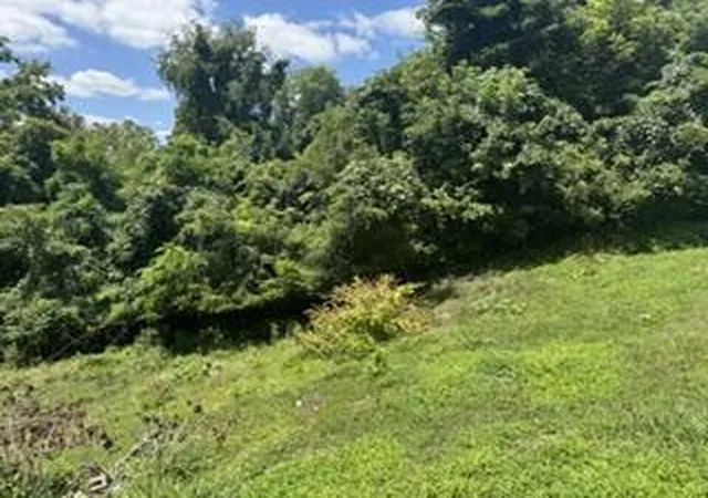 Land for sale at 4116 Hart St, Ashland, KY 41101 | MLS# 26019663