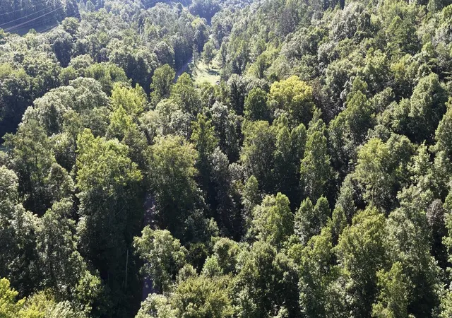 Photo 3 of Land for sale at 821 Doolittle Rd, Annville, KY 40402 | MLS# 26019422 | Listing updated on 2026-09-11
