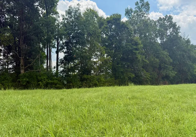 Photo 2 of Land for sale at 73 Meadows Loop, Russell Springs, KY 42642 | MLS# 26019622 | Listing updated on 2026-07-23