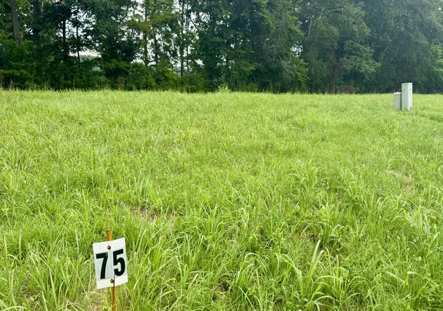 Photo 3 of Land for sale at 73 Meadows Loop, Russell Springs, KY 42642 | MLS# 26019622 | Listing updated on 2026-07-23