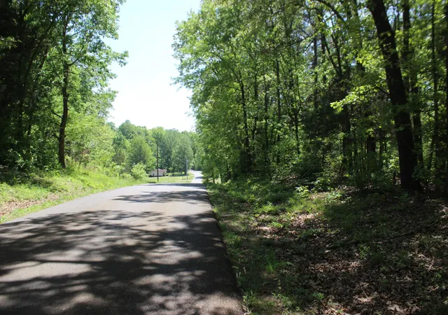 Photo 3 of Land for sale at 0 Emanuel Tract B Ln #0, Kirksey, KY 42054 | MLS# 26019804 | Listing updated on 2026-09-29