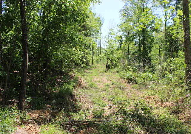 Photo 3 of Land for sale at 0 T S Chester Tract A Rd #0, Benton, KY 42025 | MLS# 26019788 | Listing updated on 2026-09-29