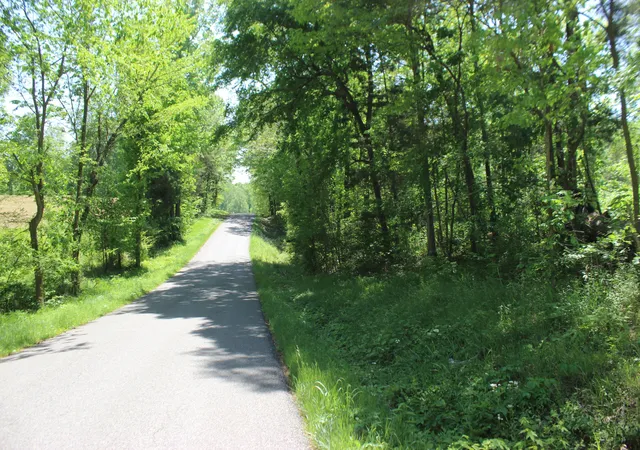 Photo 4 of Land for sale at 0 T S Chester Tract A Rd #0, Benton, KY 42025 | MLS# 26019788 | Listing updated on 2026-09-29