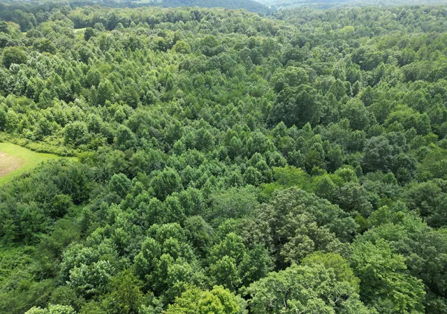 Photo 3 of Land for sale at 9991 Kentucky 490, East Bernstadt, KY 40729 | MLS# 26019508 | Listing updated on 2026-10-02