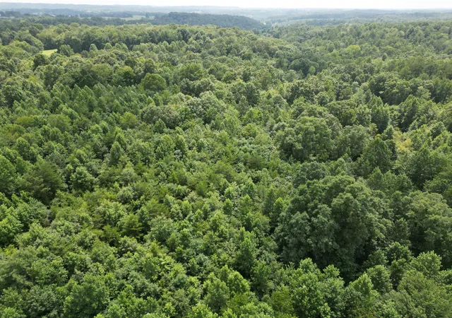 Photo 3 of Land for sale at 9991 Kentucky 490, East Bernstadt, KY 40729 | MLS# 26019508 | Listing updated on 2026-10-02