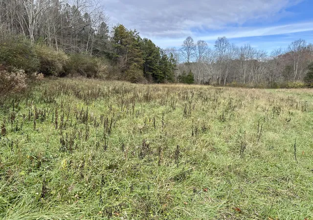 Photo 1 of Sale Pending at 319 Highway 472, Manchester, KY 40962 | MLS# 26019602 | Listing updated on 2026-09-15