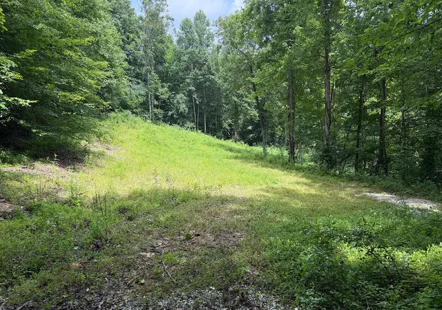 Photo 3 of Land for sale at 4813 Brammer Hl Ridge Rd, Monticello, KY 42633 | MLS# 26019637 | Listing updated on 2026-07-28