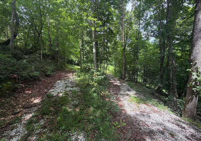Photo 4 of Land for sale at 4813 Brammer Hl Ridge Rd, Monticello, KY 42633 | MLS# 26019637 | Listing updated on 2026-07-28
