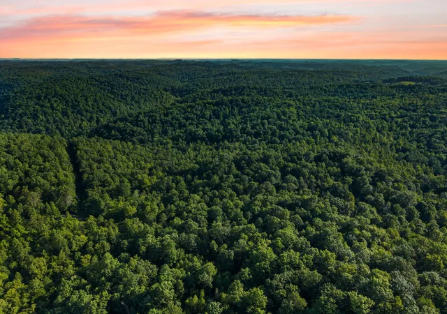 Photo 1 of Land for sale at 5399 Patsey Pilot Rd, Ravenna, KY 40472 | MLS# 26019699 | Listing updated on 2026-07-27