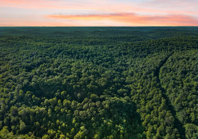 Photo 2 of Land for sale at 5399 Patsey Pilot Rd, Ravenna, KY 40472 | MLS# 26019699 | Listing updated on 2026-07-27