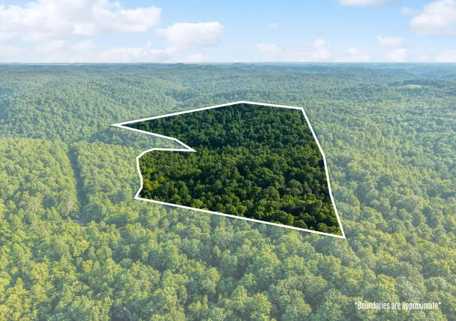 Photo 3 of Land for sale at 5399 Patsey Pilot Rd, Ravenna, KY 40472 | MLS# 26019699 | Listing updated on 2026-07-27