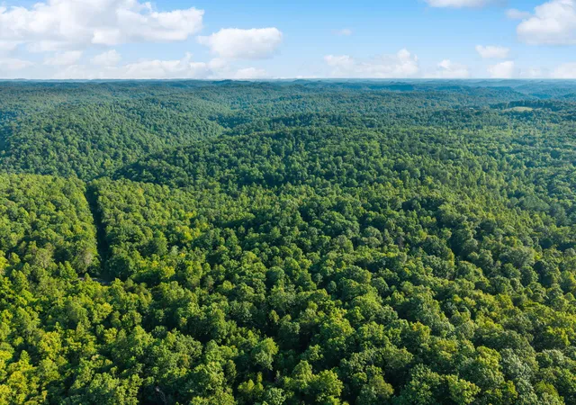 Photo 3 of Land for sale at 5399 Patsey Pilot Rd, Ravenna, KY 40472 | MLS# 26019699 | Listing updated on 2026-07-27